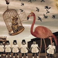 Véronique Rivera : Insomnia
