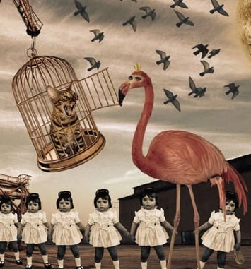 Véronique Rivera : Insomnia