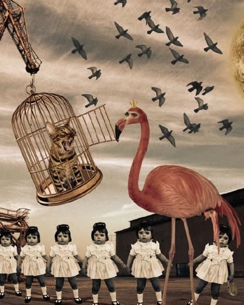 Véronique Rivera : Insomnia