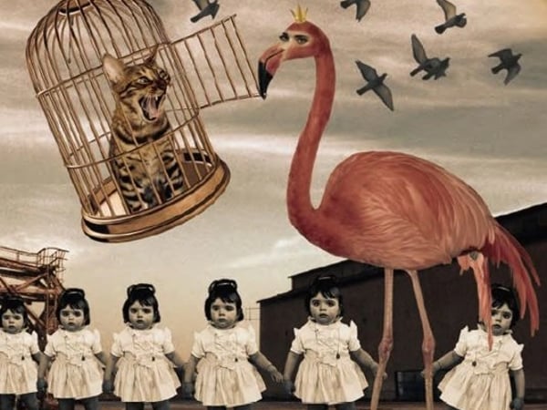 Véronique Rivera : Insomnia