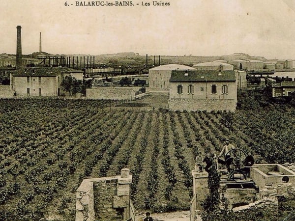 Le Quartier des Usines : Mémoire d'un Territoire