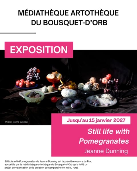 Still Life With Pomegranates