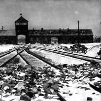 Les Juifs de France dans la Shoah