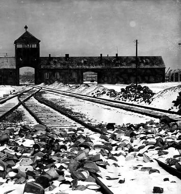 Les Juifs de France dans la Shoah