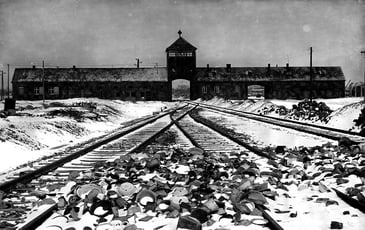 Les Juifs de France dans la Shoah