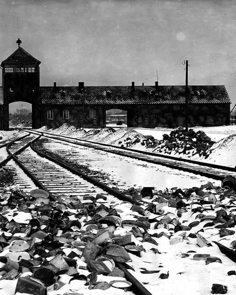 Les Juifs de France dans la Shoah
