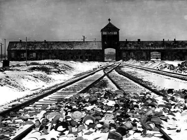 Les Juifs de France dans la Shoah