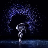 Pulse Festival des Arts Vivants et Numériques