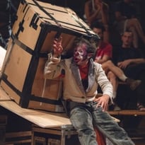 Espèce d'Idiot