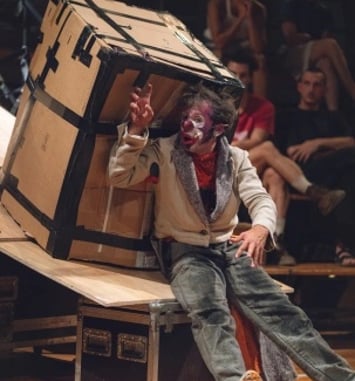 Espèce d'Idiot
