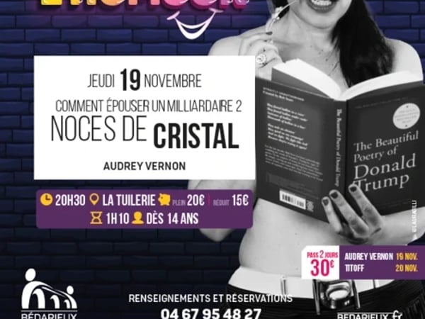 Audrey Vernon : Comment épouser un milliardaire 2 - Noces de cristal