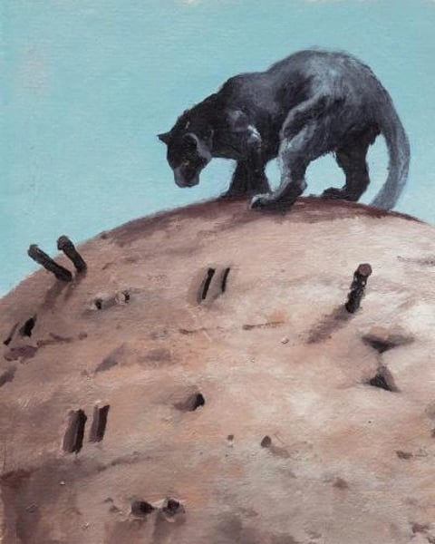 A Trip to the Moon