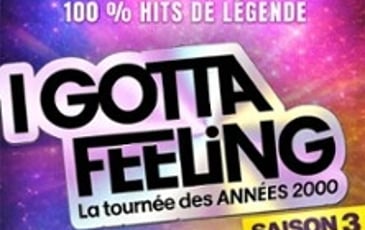 I Gotta Feeling, Saison 3 : La Tournée des Années 2000