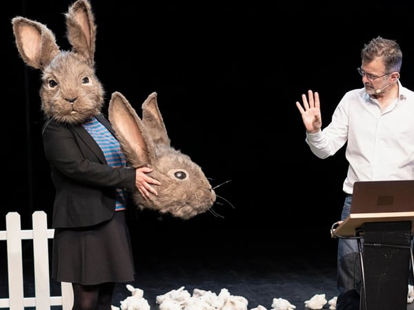 Le problème lapin, Cartographie 7
