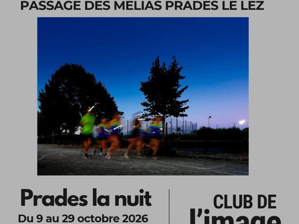 Prades-le-Lez la nuit