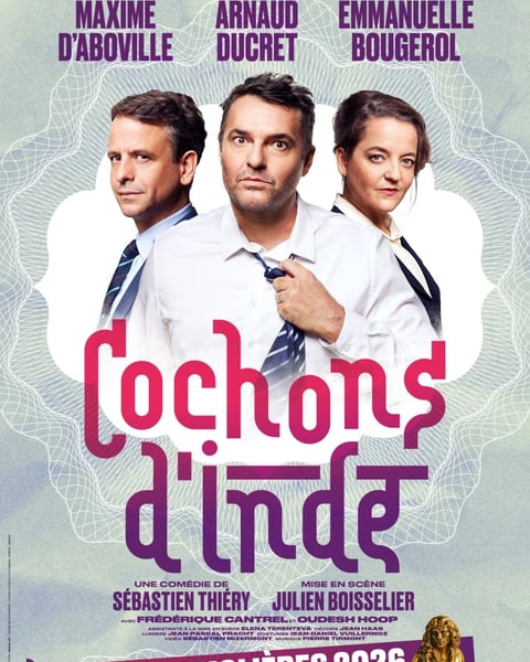 Cochons d'Inde