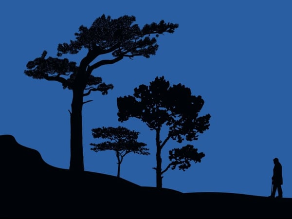 L'Homme qui plantait des arbres