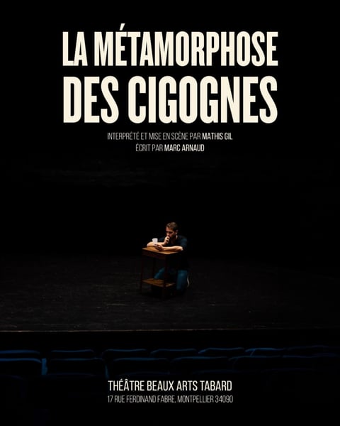 La Métamorphose des cigognes