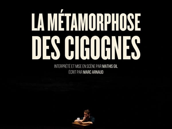 La Métamorphose des cigognes