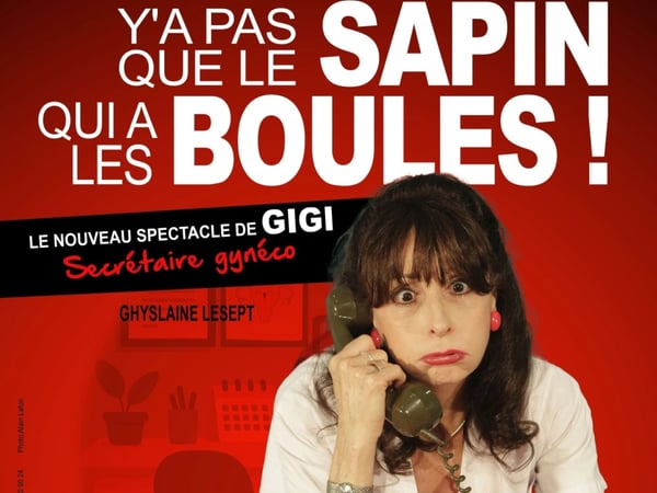 Ghyslaine Lesept dans Y'a pas que le sapin qui a les boules !