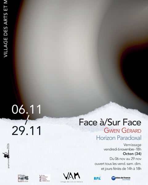 Face à/Sur Face, Gwen Gérard : Horizon Paradoxal