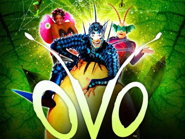 OVO : Le Cirque du Soleil