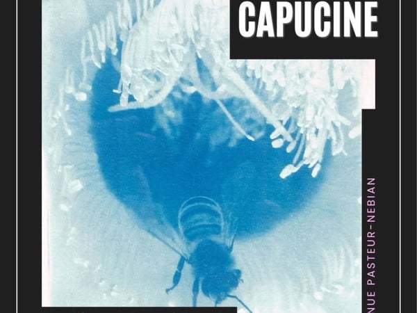 Exposition Capucine
