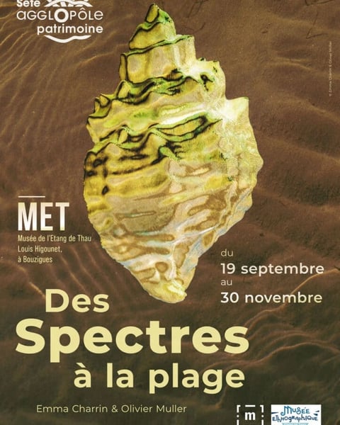 Des spectres à la plage