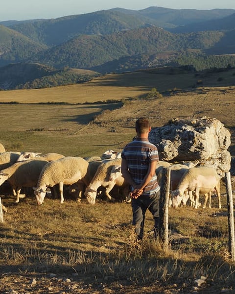 Exposition Photo : Chemins de Traverse, Paysages Culturels du Patrimoine Mondial