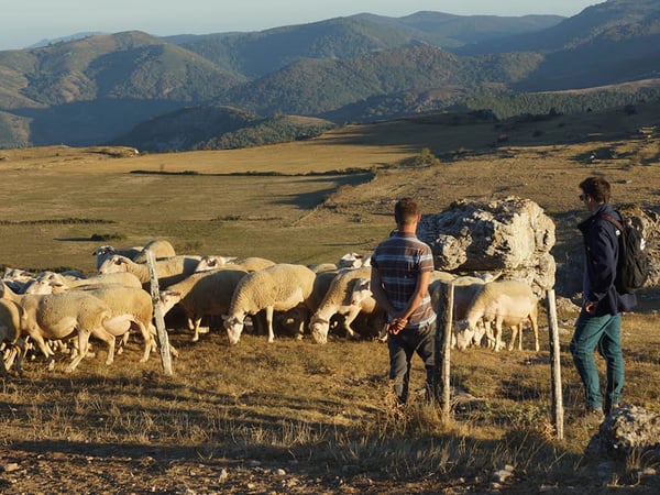 Exposition Photo : Chemins de Traverse, Paysages Culturels du Patrimoine Mondial