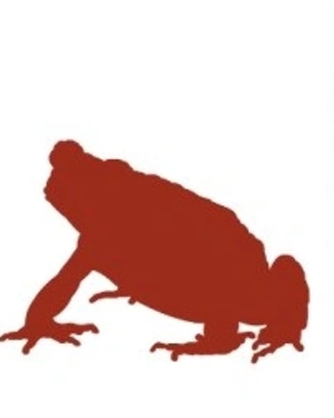 Les Amphibiens de France