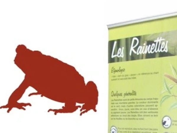 Les Amphibiens de France