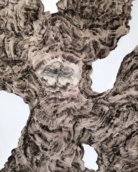 Anouck Manzoni, Anagogie – Musée de Lodève