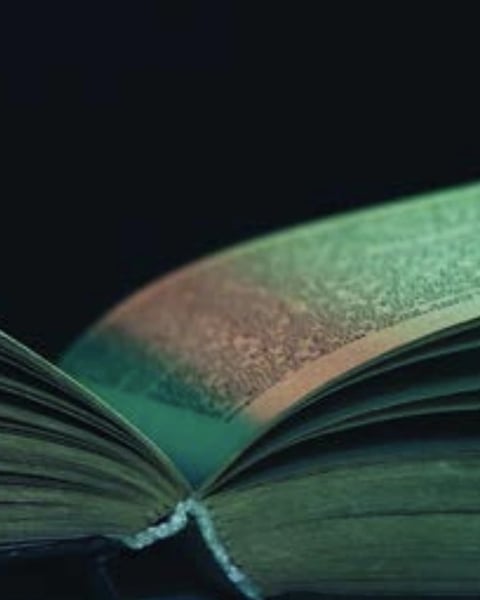 Les Nuits de la lecture
