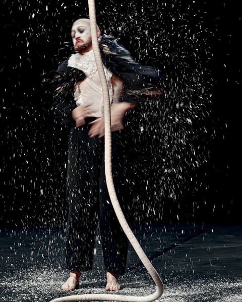 Les choix tremblants / Cirkus Nevkus